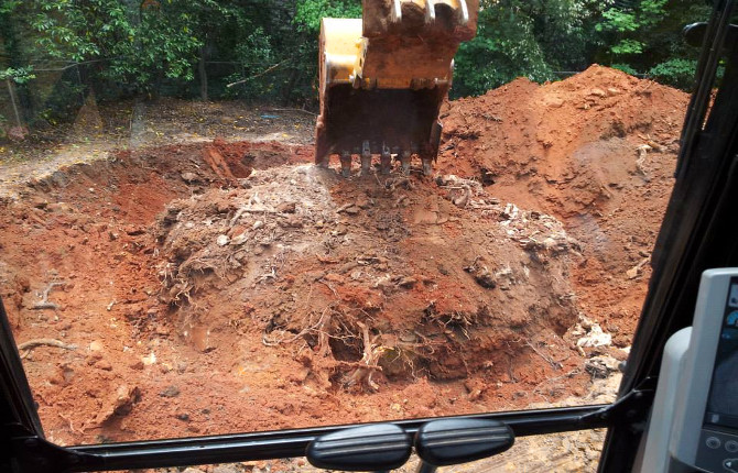 Stump removal