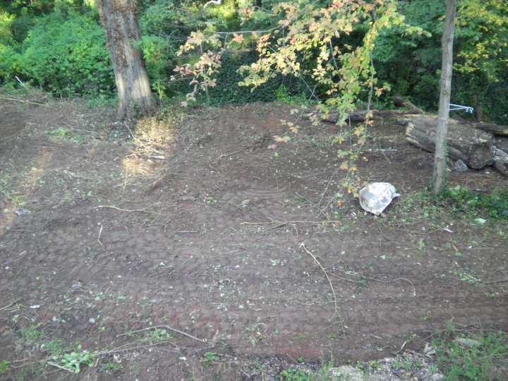 After