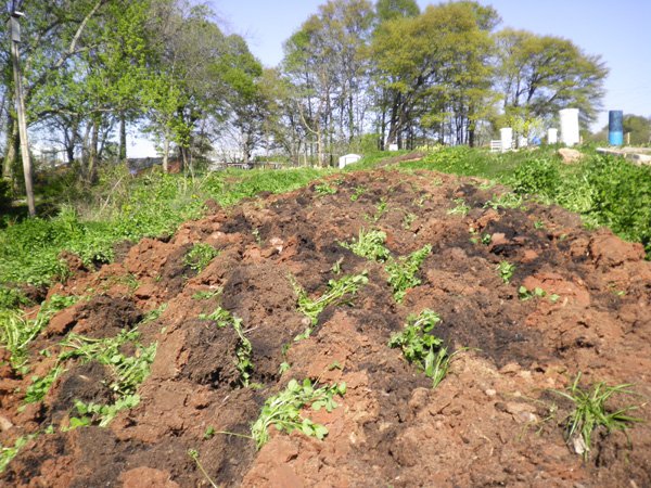 Plowing done