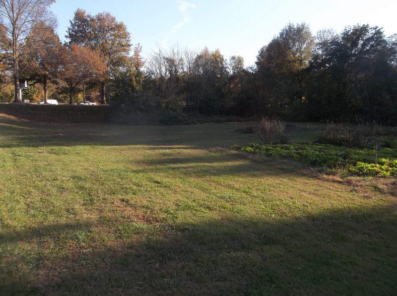 Area to be prepped
